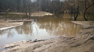 WP_20180407_027.jpg