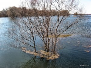 IMG_3310.JPG