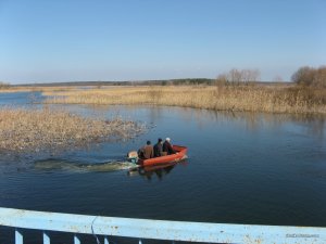 IMG_3321.JPG