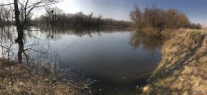 7E079F4B-AC9E-4B60-A79D-24ECAC00772C.jpeg