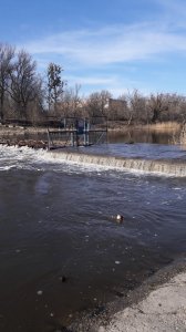 20180408_162451.jpg