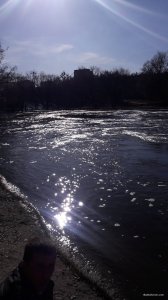 20180408_162508.jpg