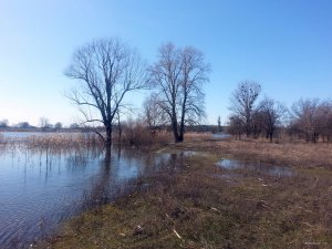 20180408_110153.jpg