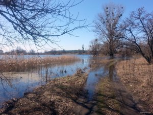 20180408_110316.jpg