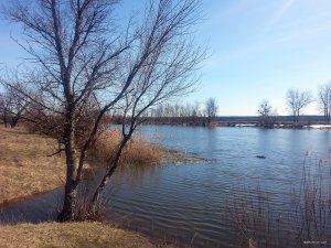 20180408_111112.jpg