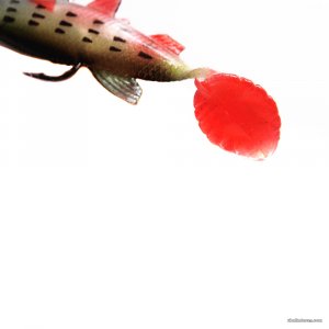 HTB1rI2BKXXXXXXnXVXXq6xXFXXXW.jpg