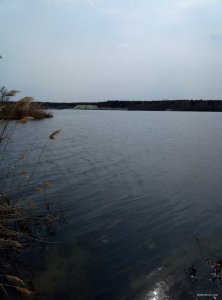 P80412-130137.jpg