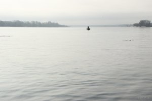 IMG_9611.JPG