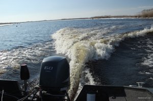 IMG_9426.JPG