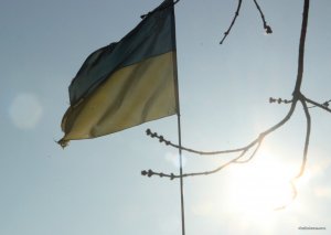 IMG_9481.JPG