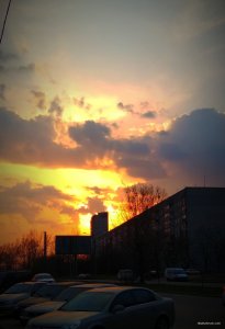 IMG_20180413_091321.jpg