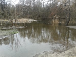 20180412_091041small.jpg