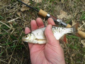 20180412_103131small.jpg