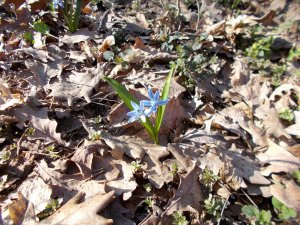 DSCN0460.JPG