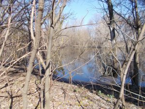 DSCN0441.JPG