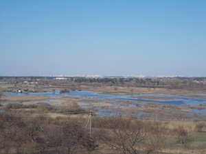 DSCN0480.JPG