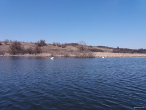 20180414_125005.jpg