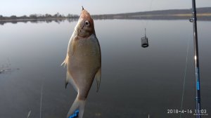 IMG_20180416_110356.jpg