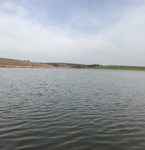IMG_1021.JPG