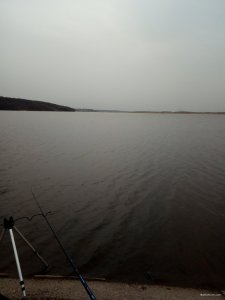1524033123678-80653593.jpg