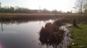 IMG_20180421_074338.jpg