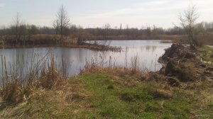IMG_20180421_102718.jpg