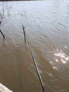 20180421_102002.jpg