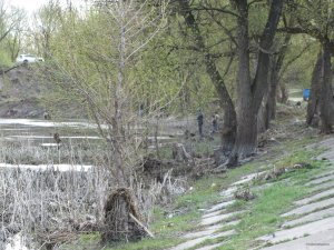 IMG_8572.JPG