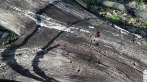 20180421_163610.jpg