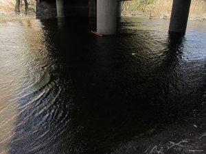 IMG_8577.JPG