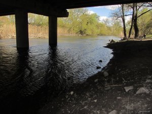IMG_8574.JPG