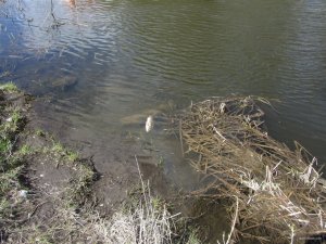 IMG_8579.JPG
