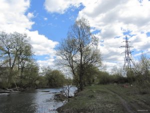 IMG_8586.JPG