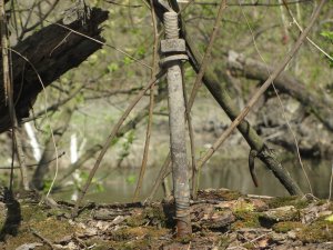 IMG_8593.JPG