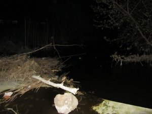 IMG_8550.JPG