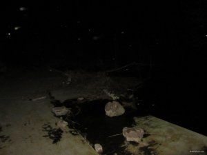 IMG_8546.JPG