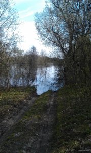 IMAG0294.jpg