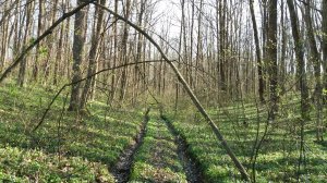 20180421_162957.jpg