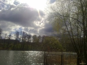 230420182167.jpg