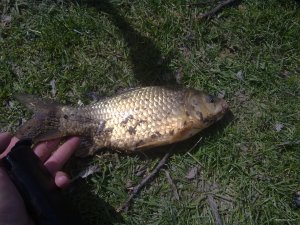 230420182171.jpg
