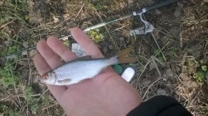 WP_20180421_08_17_20_Pro.jpg