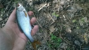 WP_20180421_10_08_18_Pro.jpg