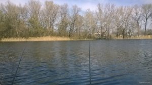 WP_20180421_10_19_27_Pro.jpg