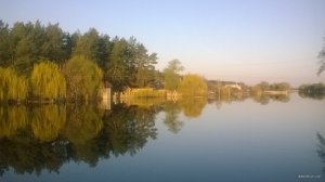WP_20180421_06_25_29_Pro.jpg