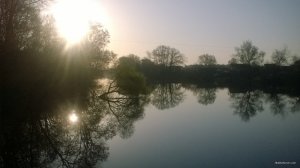 WP_20180421_06_25_38_Pro.jpg