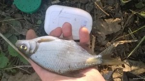 WP_20180421_18_35_04_Pro.jpg