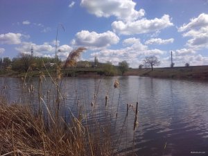 IMG_20180428_112009.jpg