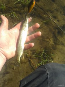 20120112_210622.jpg