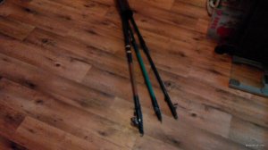 IMG_20180428_190459[1].jpg