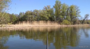 IMG_20180428_091021.jpg